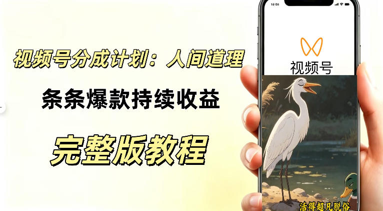 视频号新玩法之AI动漫画风励志视频，不用会画画、不用拍摄，持续化收益，详细拆解-网赚36计