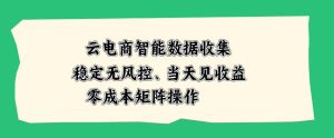 云电商智能数据收集，稳定无风控，当天做当天见收益，零成本矩阵操作【揭秘】-网赚36计