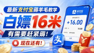 最新支付宝薅羊毛教学，白嫖16米，有需要赶紧薅，现在还有！-网赚36计