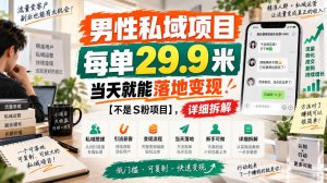 男性私域项目，每单29.9米，当天就能落地变现【不是S粉项目】，详细拆解-网赚36计