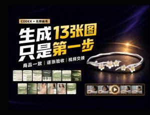 一张商品图，跑出13张电商图和15秒视频方案：这套Skill到底怎么工作？-网赚36计