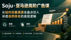 亚马逊高阶广告课，从站内流量通道全盘点切入，讲透自然排名的底层逻辑（直播+音频+资料）-网赚36计