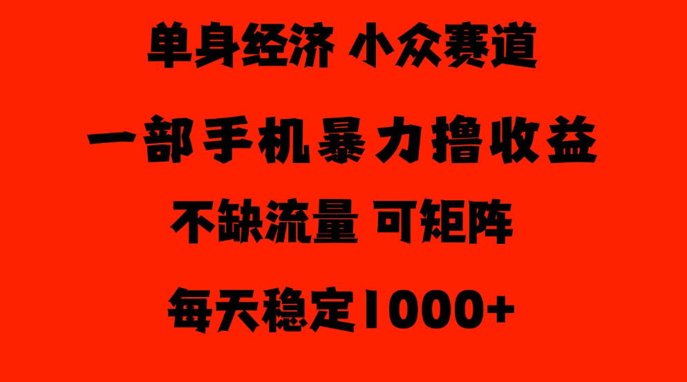 26年暴力单身经济,稳定日入500-1k,不缺流量,流量极大,冷门小众赛道,门槛低小白轻松上手【揭秘】-网赚36计