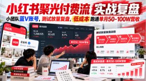 小红书聚光付费流实战复盘｜小团队蓝V账号，测试放量复盘，低成本跑通单月50‑100W营收【文档】-网赚36计