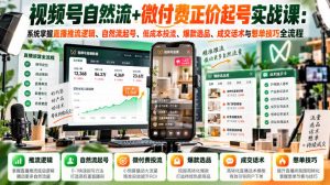 视频号自然流+微付费正价起号实战课：系统掌握直播推流逻辑、自然流起号、低成本投流、爆款选品、成交话术与憋单技巧全流程-网赚36计