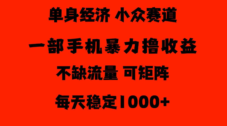 26年暴力单身经济,稳定日入500-1k,不缺流量,流量极大,冷门小众赛道,门槛低小白轻松上手【揭秘】-网赚36计