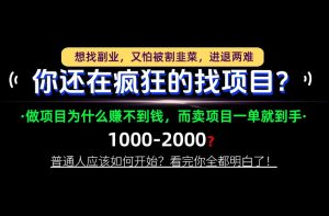 你还在疯狂的找项目？别傻了！卖项目才是真正的一本万利！怎么做，看完你全都明白！【揭秘】-网赚36计