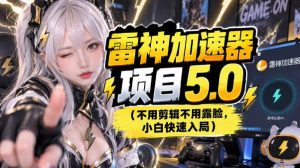 雷神项目：图文推广的完整流程，一期讲清（附避坑）-网赚36计