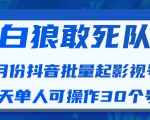白狼敢死队最新抖音短视频批量起影视号（一天单人可操作30个号）视频课程-网赚36计