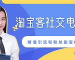 某站内部课程：淘宝客社交电商裂变，精准引流和粉丝裂变模式详解（共6节视频）-网赚36计