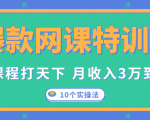 爆款网课特训营，一套课程打天下，网课变现的10个实操法，月收入3万到10万-网赚36计