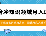 抖音冷知识领域月入过万项目，不适宜公开解决方案 ，抖音赚钱方式大解析！-网赚36计