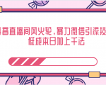 抖音直播间风火轮，暴力微信引流技术，低成本日加上千法-网赚36计