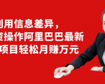 利用信息差异，零投资操作阿里巴巴最新管道项目轻松月赚10000+-网赚36计