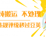 抖音纯搬运 不处理 小技巧,30秒发一个作品,避免违规评级秒过豆荚-网赚36计