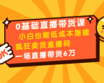 0基础直播带货课：小白也能低成本搭建疯狂卖货直播间：1场直播带货6万-网赚36计