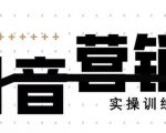 《12天线上抖音营销实操训练营》通过框架布局实现自动化引流变现-网赚36计
