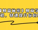 《终极财富秘密》财商学习必修课程,快速提升你的财富(18节视频课)-网赚36计