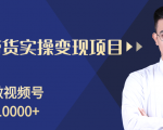 柚子分享课：微信视频号变现攻略，新手零基础轻松日赚千元-网赚36计