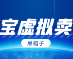 黑帽子淘宝虚拟卖货项目，单店每月收入5000+-网赚36计