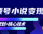 柚子微信视频号小说变现项目，全新玩法零基础也能月入10000+【核心技术】-网赚36计