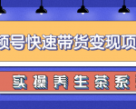 柚子视频号带货实操变现项目,零基础操作养身茶月入10000+-网赚36计