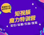 零基础小白进阶到大神《短视频魔力特训营》定位-运营-引流-变现-网赚36计