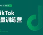 2020最新TikTok流量增长训练营（完结）附PPT-网赚36计