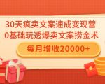 30天疯卖文案速成变现营,0基础玩透爆卖文案捞金术!每月增收20000+-网赚36计
