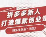 拼多多新人打造爆款创业课:快速引流持续出单,适用于所有新人-网赚36计