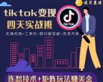 tiktok变现四天实战班,连怼技术+矩阵玩法赚美金!价值998元-网赚36计