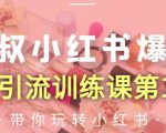 狼叔小红书爆款推广引流训练课第12期，手把手带你玩转小红书-网赚36计