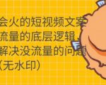 只说话就会火的短视频文案课，从根本上解决没流量的问题-网赚36计