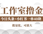 工作室撸金二件套：撸今日头条原创收益+小红书一单利润40块项目-网赚36计