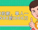 Paypal拉新赚美刀项目，单人一天利润500-1000刀【视频课程】-网赚36计
