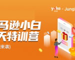 雨课·亚马逊小白特训营第9期 跨境电商挺赚钱的 有朋友已经月入几十万美金-网赚36计