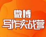 村西边老王·微博超级写作实战营，帮助你粉丝猛涨价值999元-网赚36计