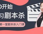 红娘子·从0开始学习剧本杀，你的第一堂剧本杀入门课 简单易懂 市场需求大-网赚36计