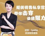 有料识堂·超级销售私享课，解密顶级销售的套路打法助你升级销冠-网赚36计