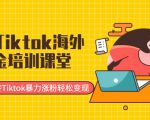 最新Tiktok海外掘金培训课堂：带你玩转Tiktok暴力涨粉轻松变现-网赚36计