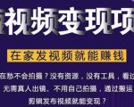 在家也能操作的短视频赚钱项目，无需真人，不用拍摄，纯搬运月入2到5万-网赚36计