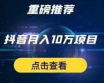 星哥抖音中视频计划：单号月入3万抖音中视频项目，百分百的风口项目-网赚36计