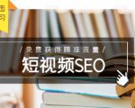 未来新趋势，布局短视频SEO，如何利用抖音SEO免费获得精准流量（3节课）-网赚36计