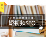 未来新趋势，布局短视频SEO，如何利用抖音SEO免费获得精准流量（3节课）-网赚36计