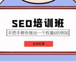 SEO培训班课程，手把手教你做出一个权重6的例站，价值8000元-网赚36计