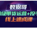 数据哥·超级带货运营+投手线上速成课，快速提升运营和熟悉学会投手技巧-网赚36计