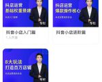 湛北·抖音小店入门进阶高阶合集，八大玩法打造百万店铺-网赚36计