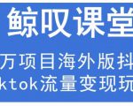 鲸叹号·海外TIKTOK训练营，百万项目海外版抖音tiktok流量变现玩法-网赚36计