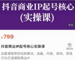 抖音商业IP起号核心实操课，带你玩转算法，流量，内容，架构，变现-网赚36计