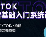 Tiktok实操进阶课程，体验从tiktok小透明到大佬的完美蜕变-网赚36计